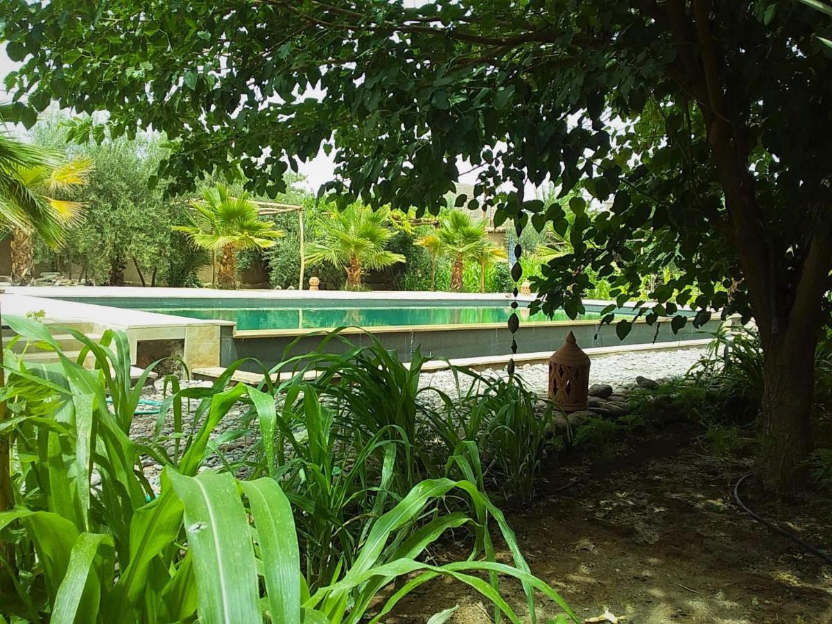 Riad Aman Skoura Exterior photo