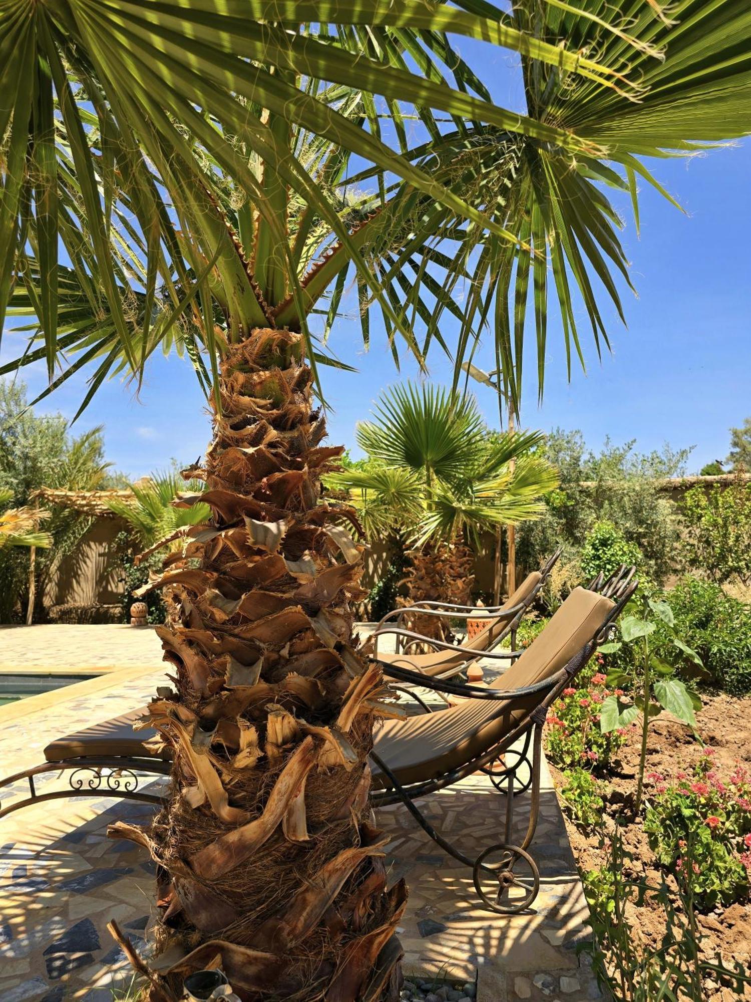 Riad Aman Skoura Exterior photo