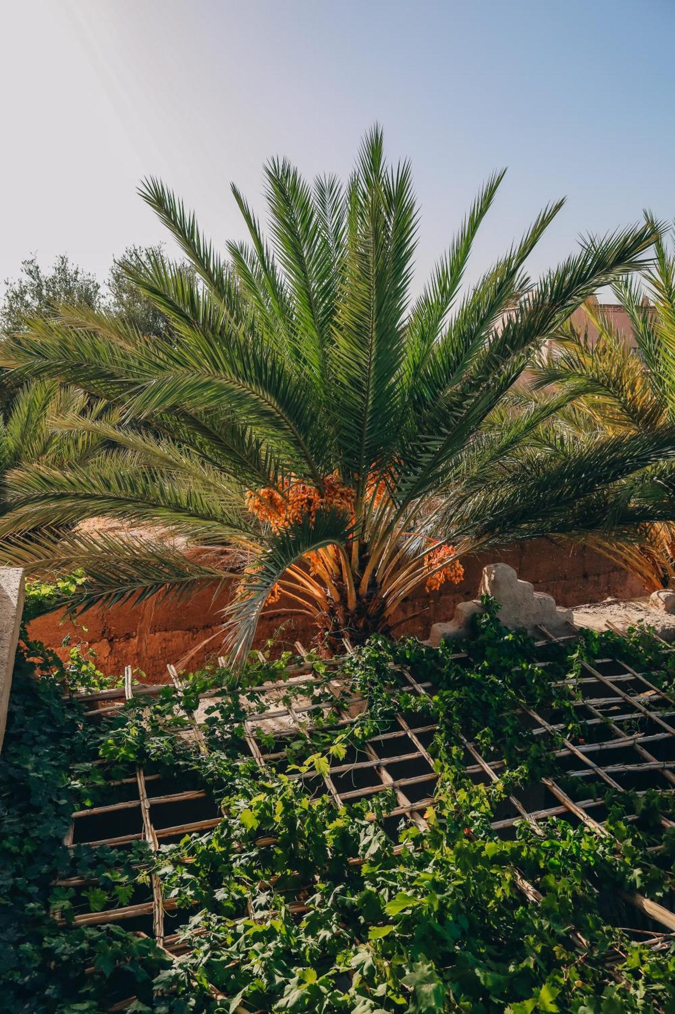 Riad Aman Skoura Exterior photo